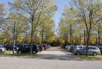 SIR05 01 Jeder fünfte Auto-Stellplatz ein Baum