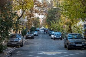 SIR05 04 Jeder fünfte Auto-Stellplatz ein Baum