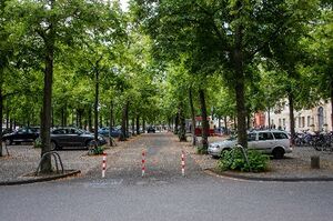 SIR05 06 Jeder fünfte Auto-Stellplatz ein Baum