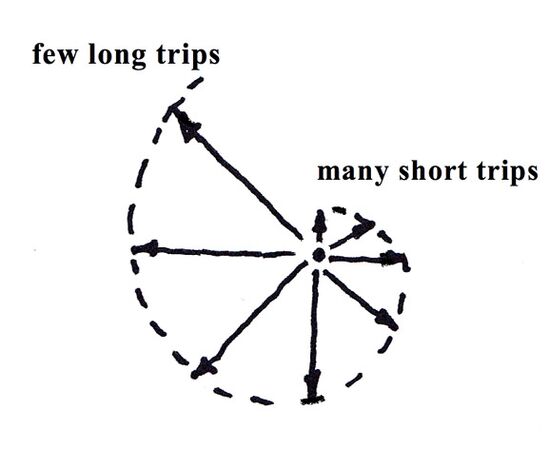 01 02 Polycentric Region.jpg