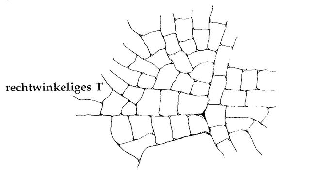 Illustration aus „A Pattern Language“